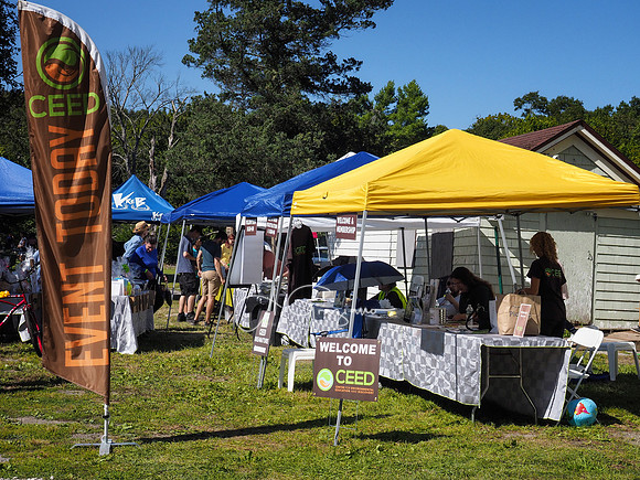 CEED Fall Festival 2019