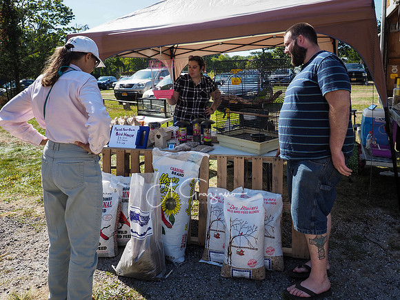 CEED Fall Festival 2019