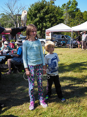 CEED Fall Festival 2019