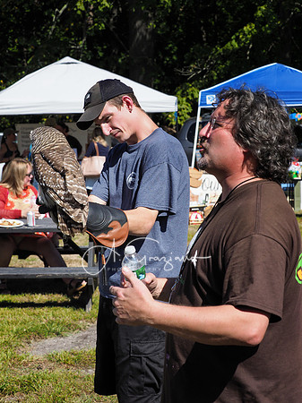 CEED Fall Festival 2019