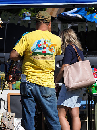 CEED Fall Festival 2019