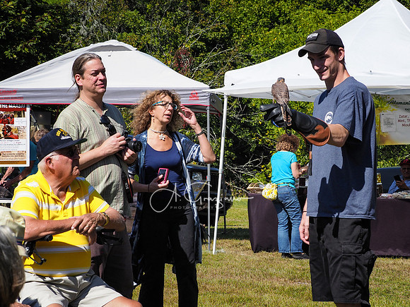 CEED Fall Festival 2019