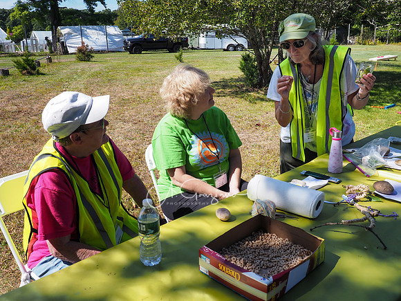 CEED Fall Festival 2019