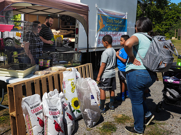 CEED Fall Festival 2019