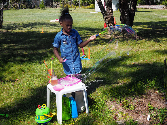 CEED Fall Festival 2019