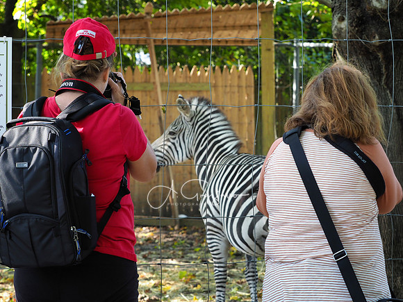 LIGF Workshop 2019