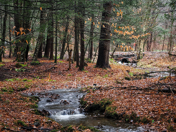 Catskills West