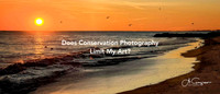 Ocean Park Beach - Long Beach, NY