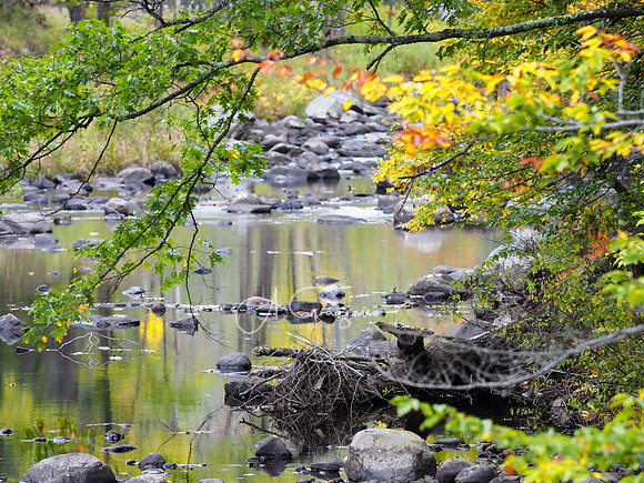 Tolland State Park