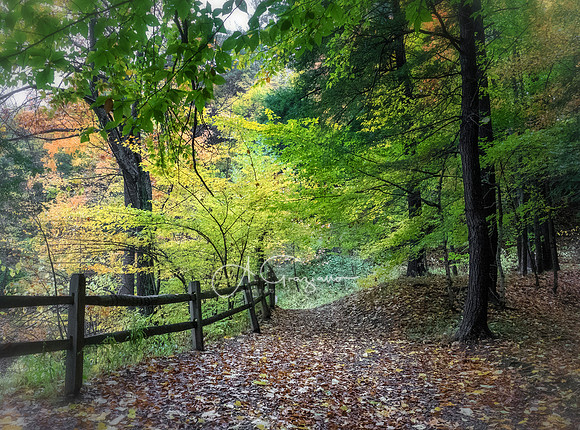 Upper Falls Area - Letchworth Workshop