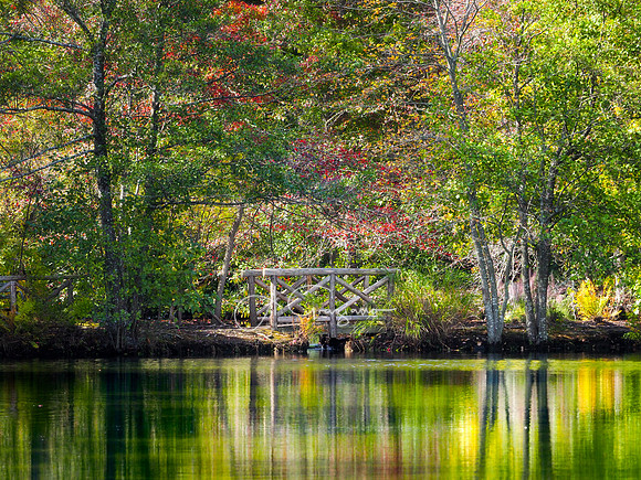Bayard Cutting Arboretum
