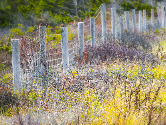 Along the Road