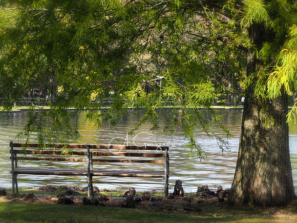 Bayard Cutting Arboretum