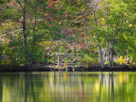 Bayard Cutting Arboretum