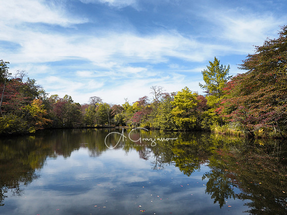 Bayard Cutting Arboretum