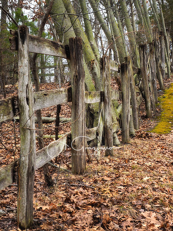 Butler-Huntington Woods