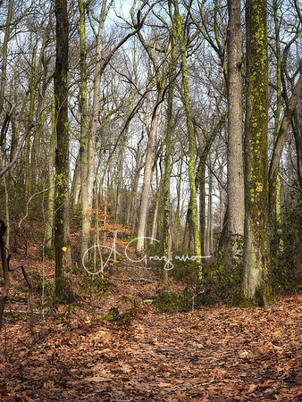Butler-Huntington Woods