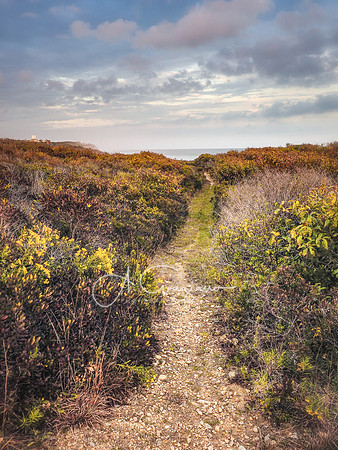 Andy Warhol Preserve, Montauk