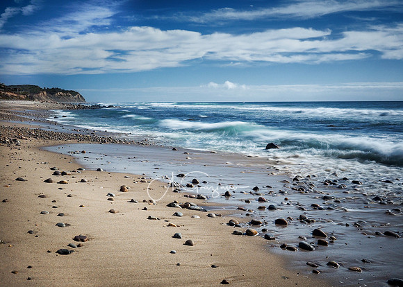 Andy Warhol Preserve, Montauk