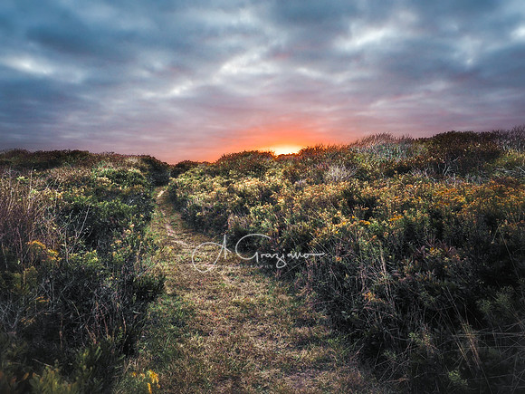 Andy Warhol Preserve, Montauk