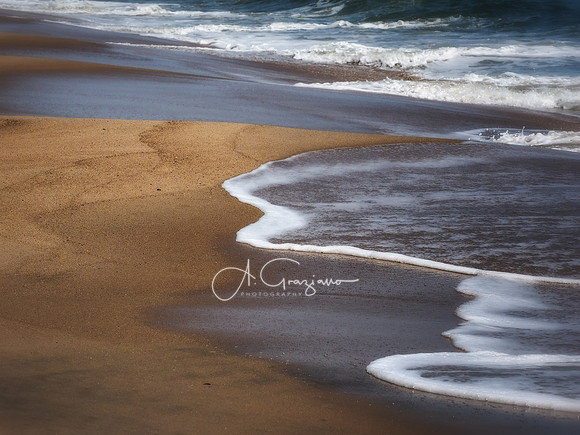 Amagansett Shores NWR