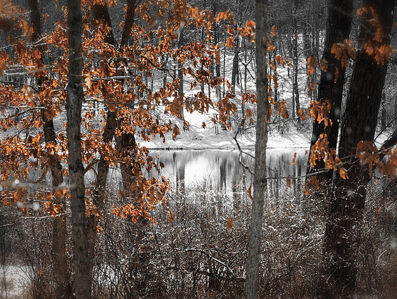 Brookhaven SP