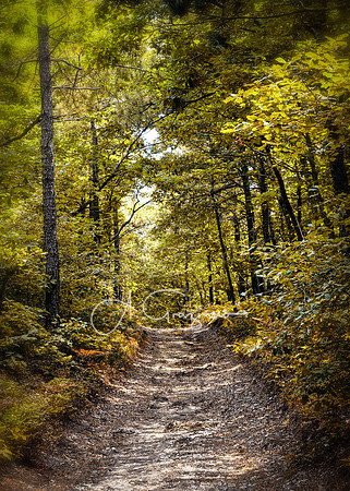 Brookhaven SP