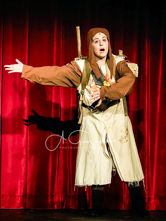 Spamalot 2024