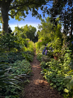 iPhone Workshop - Landcraft July 2025