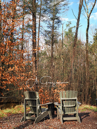 Catskills West