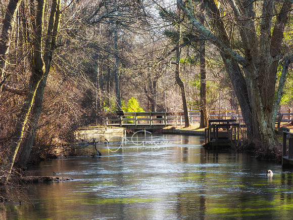 Connetquot River State Park Preserve