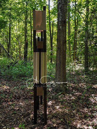 CEED Art on the Trail 2024
