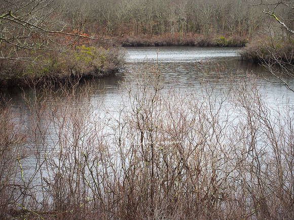 Long Pond Greenbelt Nature Preserve at Crooked Pond - Hamlet to Hamlet Footpath