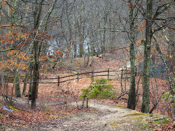 Long Pond Greenbelt Nature Preserve at Crooked Pond - Hamlet to Hamlet Footpath