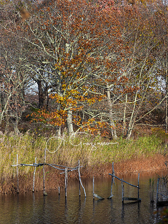 Mashomack Preserve