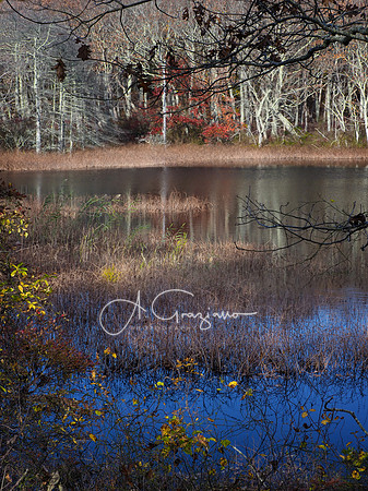 Mashomack Preserve