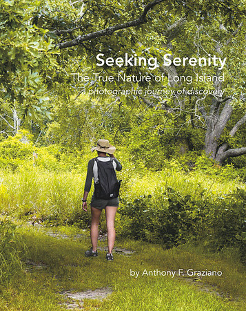 1 - Seeking Serenity Cover