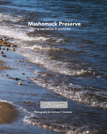 Mashomack Preserve - a narrative in pictures