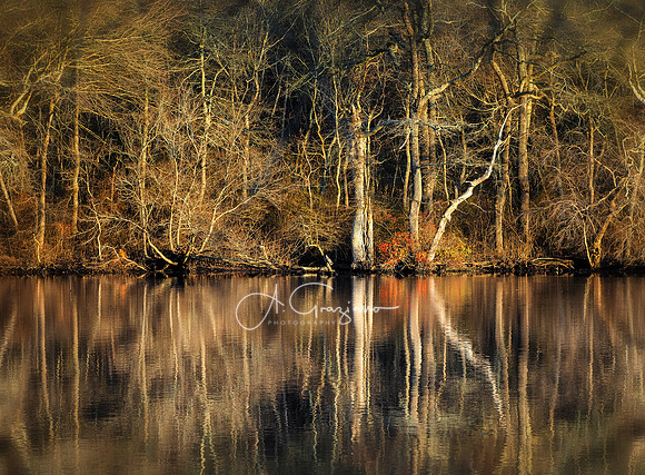 Wertheim NWR