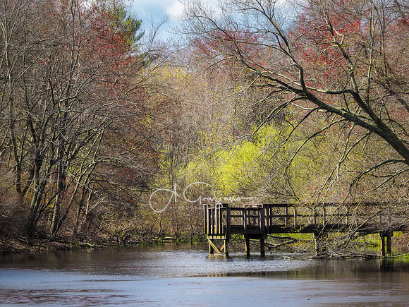 Ridge Conservation Area, Randal Pond