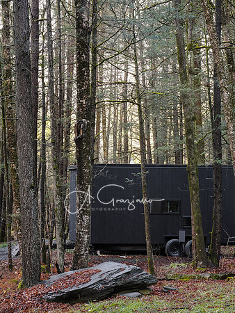 Catskills West