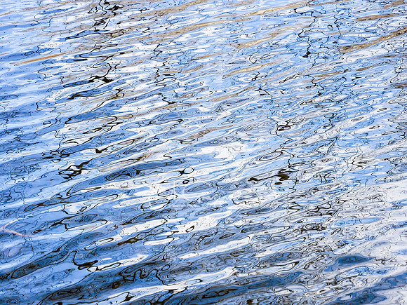 Ripple in Time - Trout Pond Preserve
