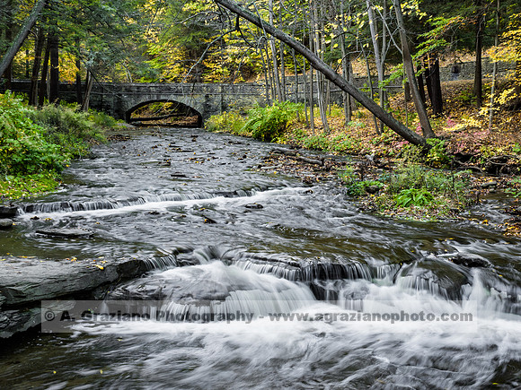 Wolf Creek Area - Letchworth Workshop