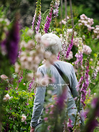 Landcraft Gardens Workshop 2024