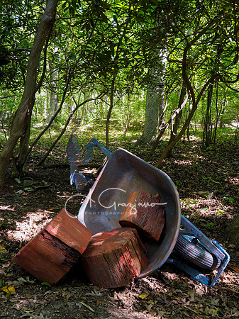 CEED Art on the Trail 2024