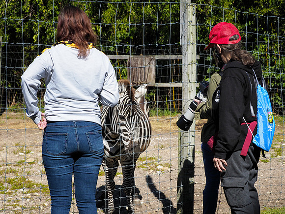 Long Island Game Farm Workshop 2020