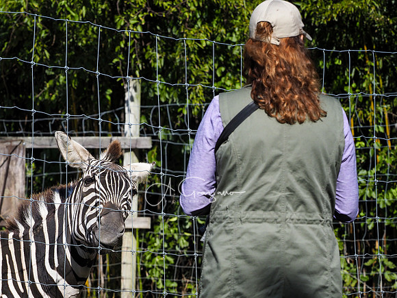Long Island Game Farm Workshop 2020
