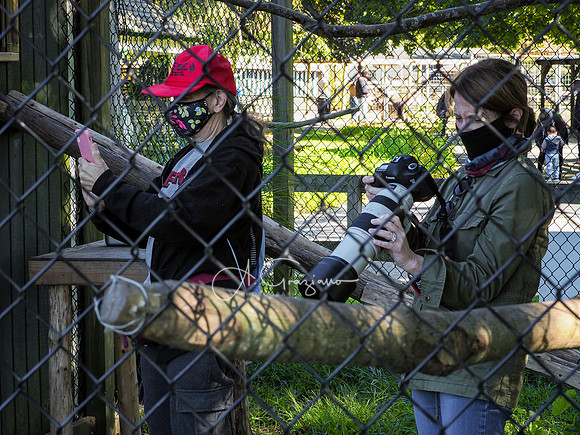 Long Island Game Farm Workshop 2020
