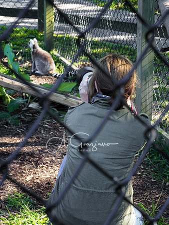 Long Island Game Farm Workshop 2020