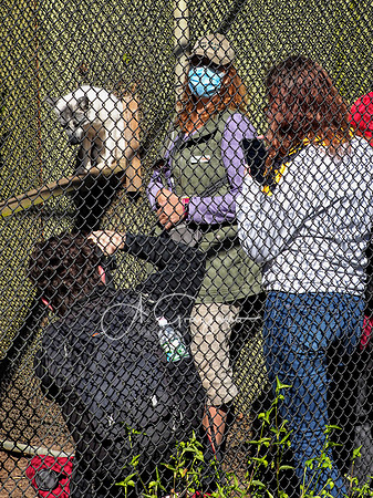 Long Island Game Farm Workshop 2020